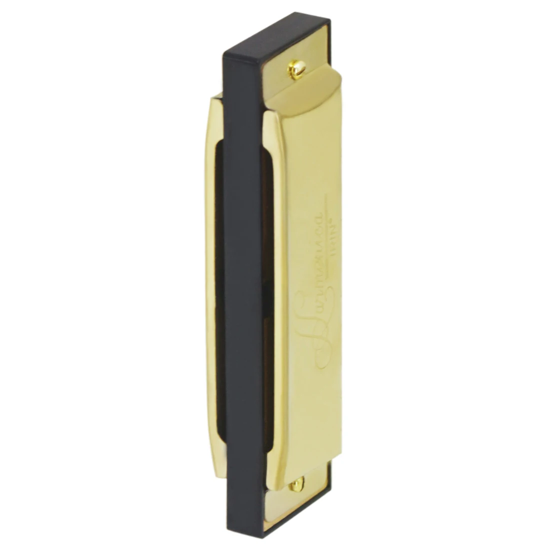IRIN Harmonica 10 Hole 20 Tone - Musical Instruments Names recensie en prijs