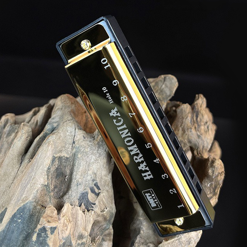 1PC 10 Holes Harmonica Metal M - Musical Instruments Names recensie en prijs
