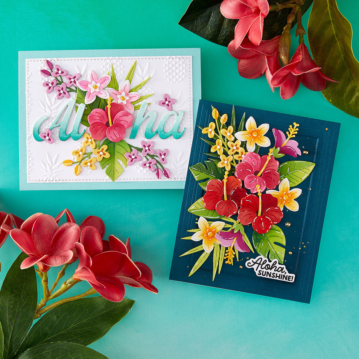 June New Sea Turtle and Tropic - Musical Instrument Triangle recensie en prijs